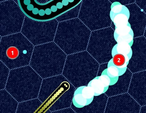 Collecting balls in slither.io